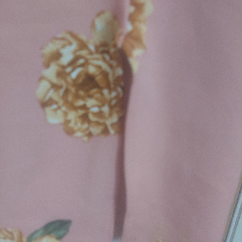 CHARLOTTE RUSSE - Picture 7 of 7